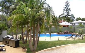Koala Tree Motel