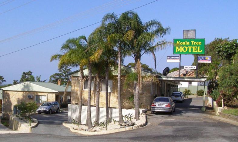 Koala Tree Motel Port Macquarie Exterior photo