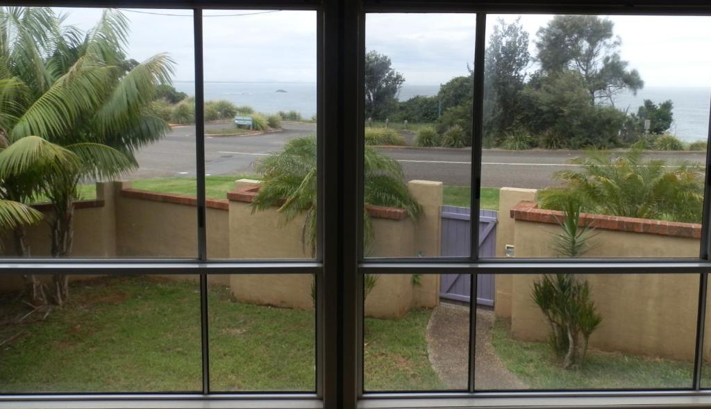 Koala Tree Motel Port Macquarie Room photo